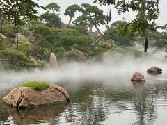 -罗红摄影艺术馆