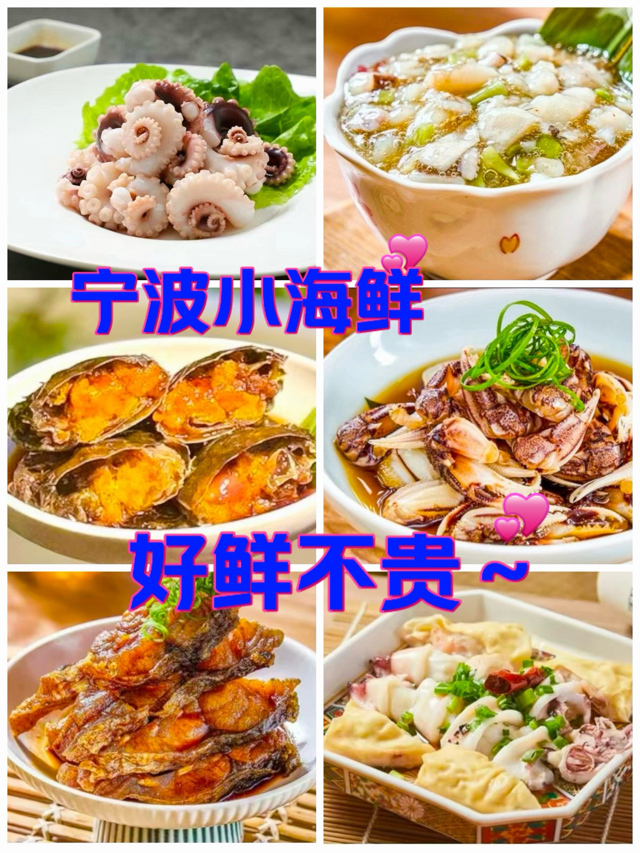 宁波鲜哥个人资料图片