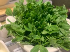 -海底捞火锅(龙湖北京大兴天街店)