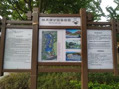 -映月湖公园