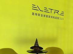 -莲花跑车(国贸商城店)