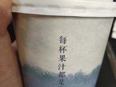 -野萃山·潮汕厚果汁(十亩地店)