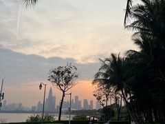 -深圳湾公园(南山区)