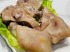 -丁老爷子苏香圆