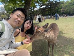 -奈良公园
