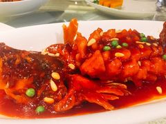 松子桂鱼-上海和平饭店龙凤厅 Dragon Phoenix