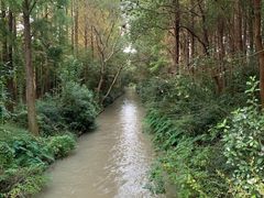 -同里国家湿地公园