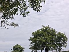 -海珠湖公园