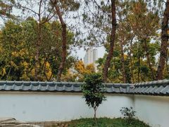 -深圳国际园林花卉博览园