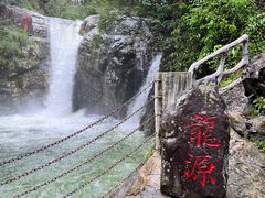 -自游人·美食一楼·地道徽菜(三十年名店)