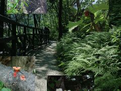 -明堂山风景区