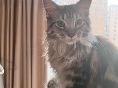 -佳雯宠物医院·皮肤科·内外科(春晓路分院)