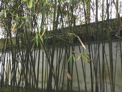 -秋霞圃