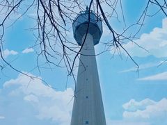 -陕西自然博物馆