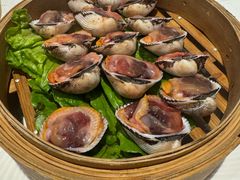 白灼毛蛤-高佳庄·海鲜酒楼(东港店)