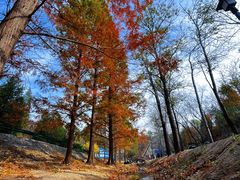 -白水寺森林公园