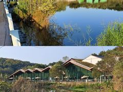 -西湖风景区-江洋畈生态公园