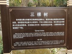 -武汉姚家山旅游景区