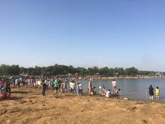 -武清南湖绿博园