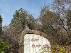 -白水寺森林公园