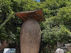 -抚仙湖禄充风景区
