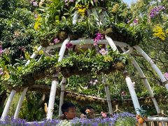 -深圳仙湖植物园