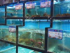 -沈胖子音乐烤吧·炒菜·龙虾(环城东路店)