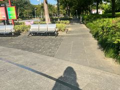 -白塘生态植物园