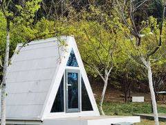 -绵阳盛世樱花悠乐谷