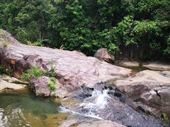 -广州白江湖森林公园