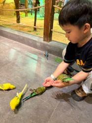 -酷嗒动物文化乐园(cutezoo西溪乐天城店)