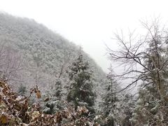 -九峰山