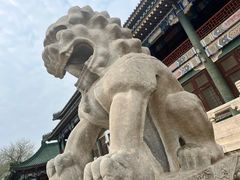 -国家图书馆·古籍馆