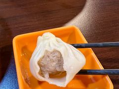 鲜肉小笼-大龙汤包