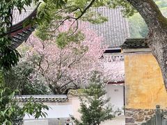 -阿育王寺