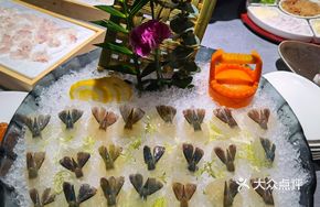 Golden Eagle Shrimp Sashimi Platter