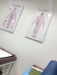-赵大夫减肥