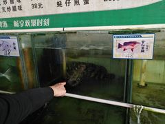 -绢姐海鲜大排档