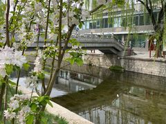 -元大都城垣遗址公园