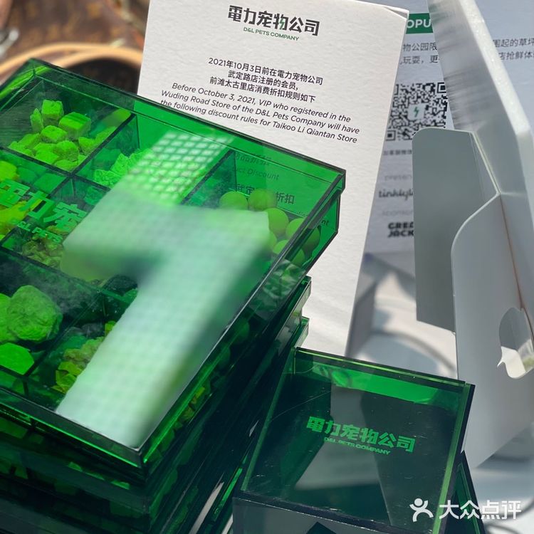 电力宠物公司