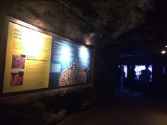 -西雅图水族馆
