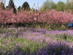 -白塘生态植物园