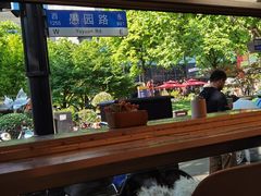 -WHEN PIGS FLY当猪飞