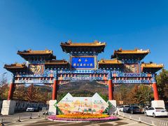 -北京西山国家森林公园