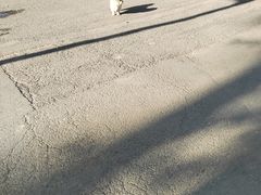 -东北农业大学