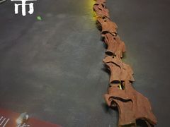 -世界恐龙谷景区