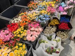 -溪岸路花鸟市场