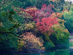 -灵岩山风景区
