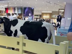 -红星前进面包牛奶公司(君太店)