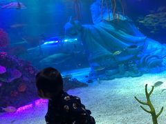 -沈阳海洋探索中心